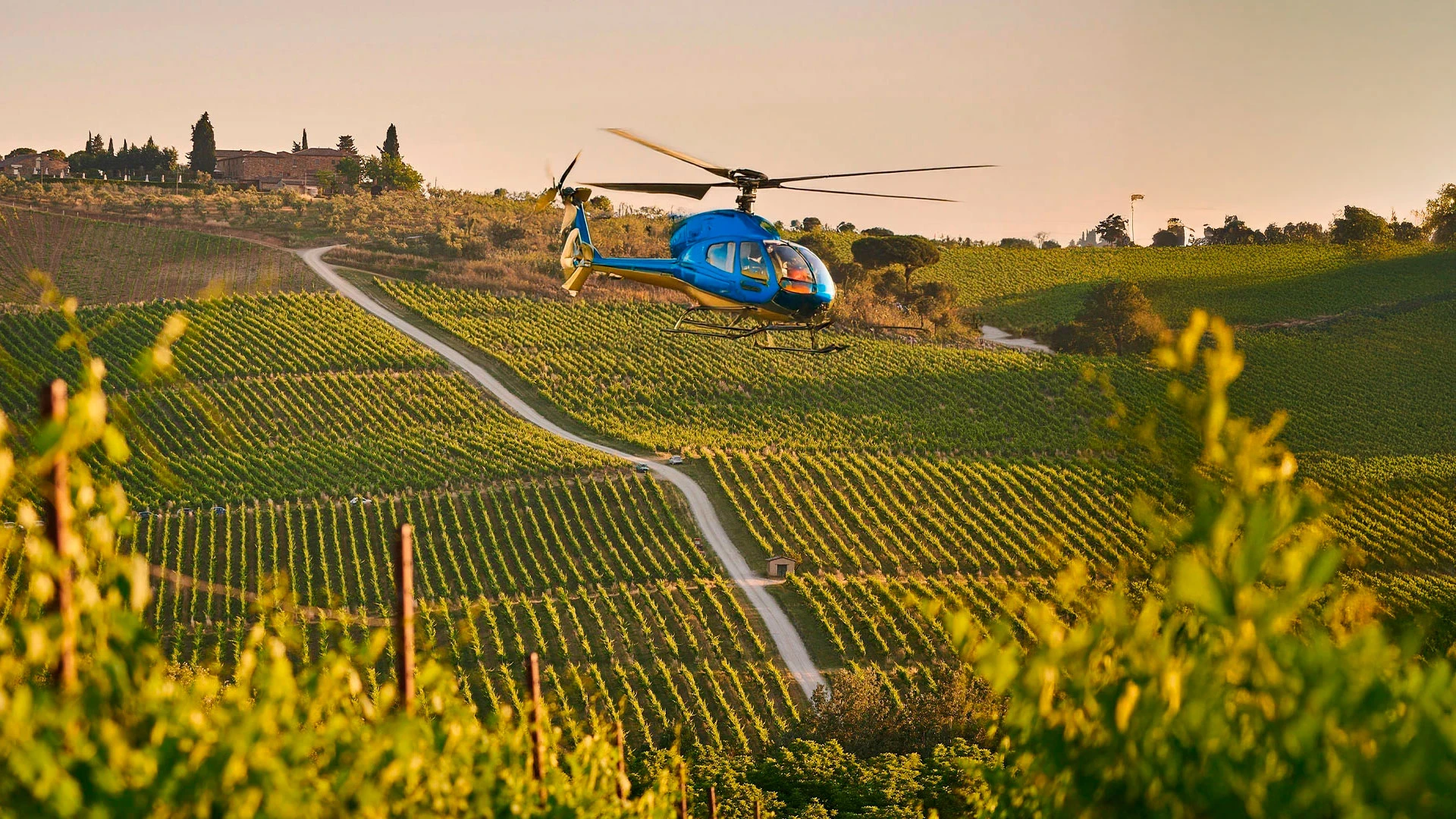Private Tour: Heli-Wine Penedès Region
